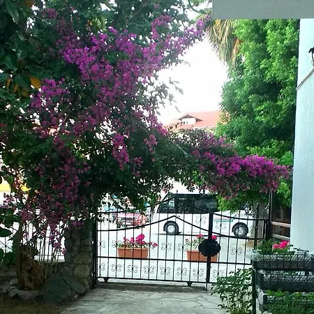 Nehir Dalyan Boutique Bed & Breakfast 3*