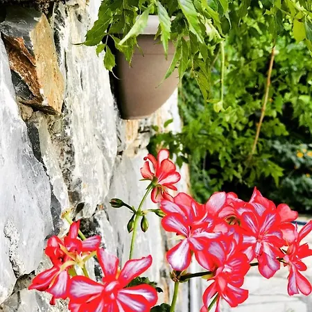 Bed and Breakfast Nehir Dalyan Boutique *