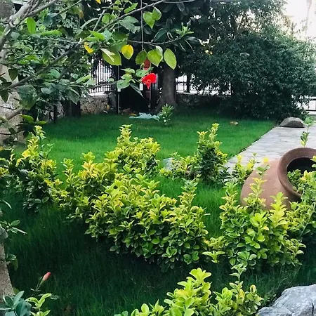 Nehir Dalyan Boutique Ortaca (Mugla)