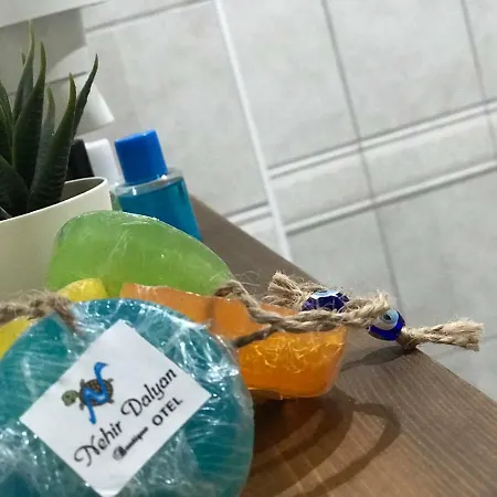 Nehir Dalyan Boutique Bed and Breakfast 3*