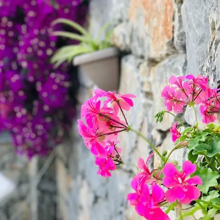 Bed and Breakfast Nehir Dalyan Boutique 3*