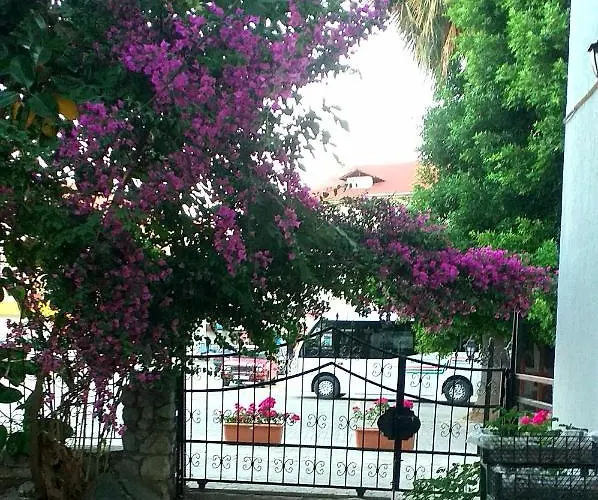 Nehir Dalyan Boutique Bed & Breakfast 3*