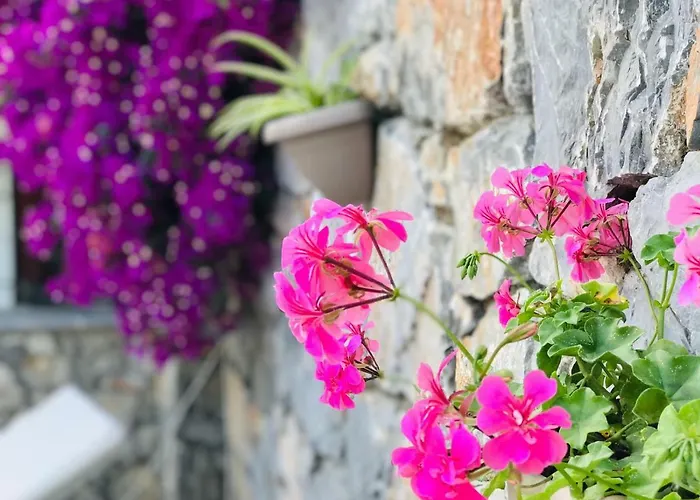 Bed & Breakfast Nehir Dalyan Boutique 3*