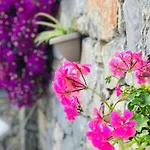 Bed & Breakfast Nehir Dalyan Boutique 3*