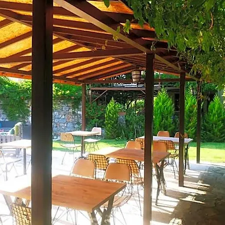 住宿加早餐酒店 Nehir Dalyan Boutique