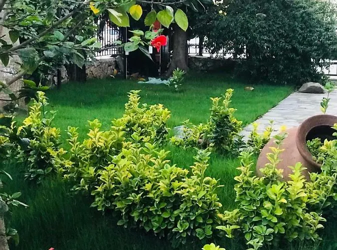 Nehir Dalyan Boutique Ortaca