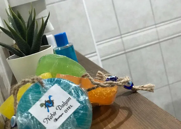 Nehir Dalyan Boutique Panzió 3*