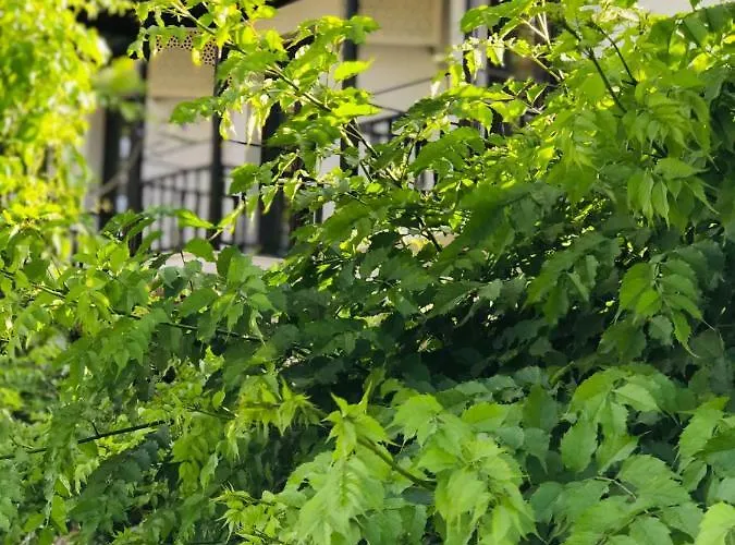 Nehir Dalyan Boutique